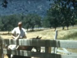 City Slicker 1950's Stock Footage