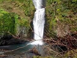 Multnomah Falls Stock Footage