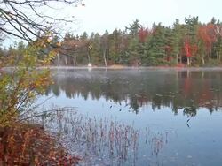 Autumn Scenery Stock Footage