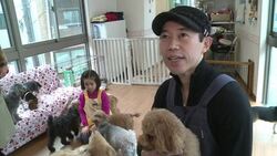 VOICED : Dogs by the hour: Japan offers pet rental service News Clip