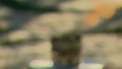 Obama and Clinton lay wreath at JFK eternal flame Instructional Video