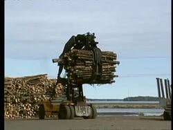 Skidder manoeuvring with claw full of logs in timber yard Stock Footage