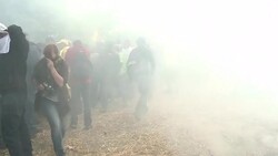 CLEAN : European farmers block Brussels in huge tractor protest News Clip