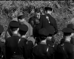 JUSTICE FOR CARUSO - News Clip