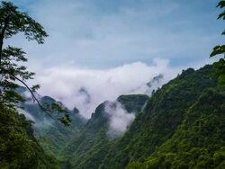 Fog in the flowing, Time Lapse. Stock Footage