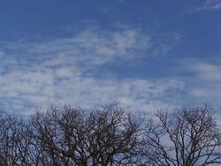 Cloudy Day Stock Footage