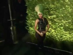 Green Auction: Bid to Save The Earth and Runway to Green Fashion Show Stock Footage