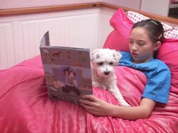 Little girl reading bedtime story to pet Stock Footage