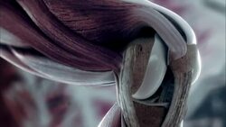 A computer animation depicts cartilage in the human body. Stock Footage