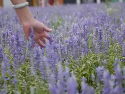Woman with touch of flowers. Stock Footage