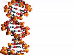 Computer animation of DNA. White background Stock Footage