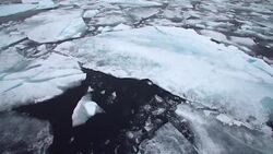 Svalbard icebergs 2 Stock Footage