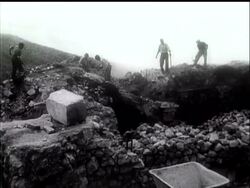 CASSINO MONASTERY REMEMBRANCE TREE PLANTED News Clip