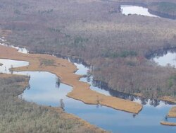WS AERIAL View of trees and river/ North Carolina, United States Stock Footage