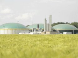 Biomass energy plant behind a wheat field Energiewende Biogas Stock Footage