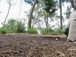 MS Miners carrying solid sulfur from the Ijen volcano / Ijen, Java, Indonesia Stock Footage