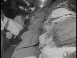 Two men throw sacks of mail in a pile while postal workers sort and stamp mail. News Clip