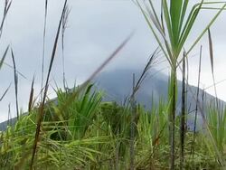 Volcano (NTSC) Stock Footage