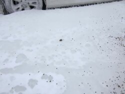 Car Fully Encapsulated In Glaze Ice Stock Footage