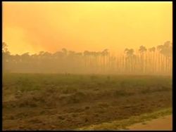 Greece - Wildfires, Us - Firefighters Battle Wildfires In California And Florida, Russia - Forest Fires Causing Smog That Is Enveloping Moscow, Russia - Smog Blankets Moscow, Usa - Los Angeles Smog, Mexico - Pollution News Clip