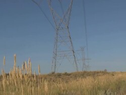 Power lines with grass blowing and blue sky. Stock Footage