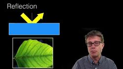 Light Absorption, Reflection, and Transmission Instructional Video