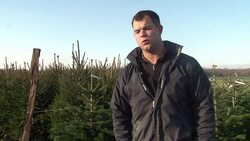 VOICED : Potted Christmas trees News Clip