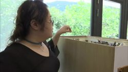 Interior designer scales down his designs to create dioramas Instructional Video