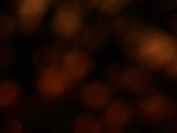 PAL: Out of Focus Stock Footage