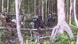 VOICED : La playa crece en la Amazonia de Colombia por mineria ilegal News Clip