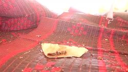 CLEAN : IDP camps in Syria's Aleppo province hit in new strikes News Clip