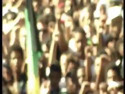 Nelson Mandela Election Celebrations News Clip