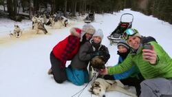 Family taking selfie with sled dogs in snowy woods Stock Footage