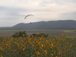 Parasailing Part 12 Stock Footage