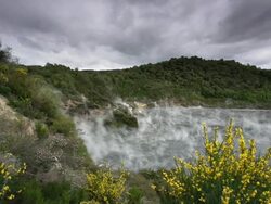 Geothermal Lake New Zealand Stock Footage
