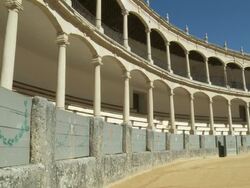 MS View of bull ring / Ronda, Andalusia, Spain        Stock Footage