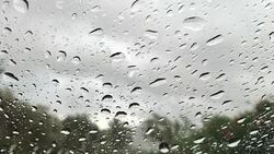 Drops dripping down the glass Stock Footage