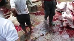 Muslims Celebrate Eid Al-Adha In Indonesia Stock Footage