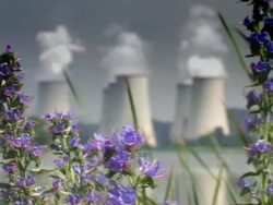 flowers in front of a power plant Stock Footage