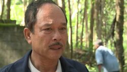 CLEAN : Thai rubber farmers wheeze as prices slump News Clip