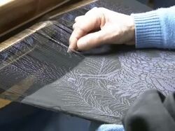 OSHIMA-TSUMUGI Stock Footage