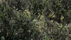 Siemen mountains in Ethiopia. Stock Footage