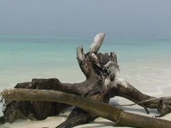 Desert Island Stock Footage