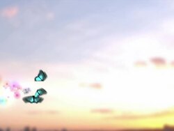 Blue Butterflies with particular Stock Footage