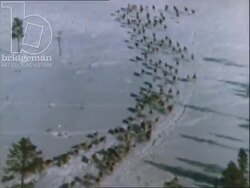 USSR 1970s - aerial shot and CU shot of large herd of reindeer running over snowy land Stock Footage