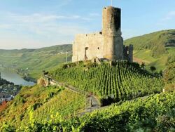 WS Landshut Castle atop hill surrounded by vineyards and overlooking town and Moselle river  / Bernkastel-Kues, Rhineland-Palatinate, Germany Stock Footage