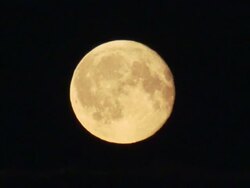 'Long Shot static-A full moon glows in the night sky. / Wrangell, St. Elias National Park, Alaska, USA' Stock Footage