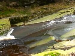 UNUSUAL SCENE OF WATER OVER MOSS ROCKS Stock Footage
