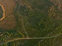 WS AERIAL View of forest and road / North Carolina, United States Stock Footage