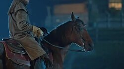 SLO MO TU Rider in saddle steering his horse at night Stock Footage